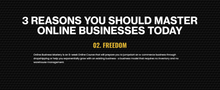 Load image into Gallery viewer, Online Business Mastery - Special 2.0
