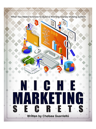 Niche Marketing Secrets E-Book